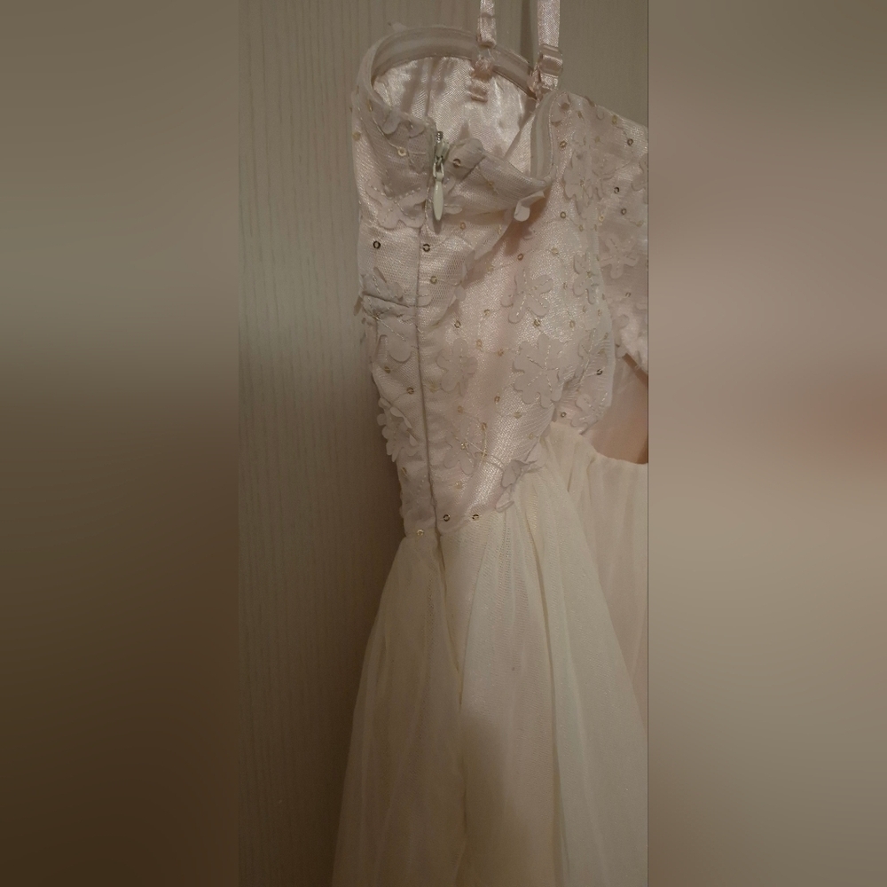 Parisian Collection Lace & Tulle Party Dress — Blush Champagne (Size S/P) - Picture 3 of 7